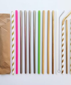 reusable straws with case